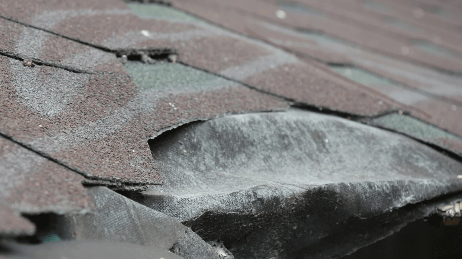Wind Damage Roof Repair — commercial roofing in Indianapolis, IN