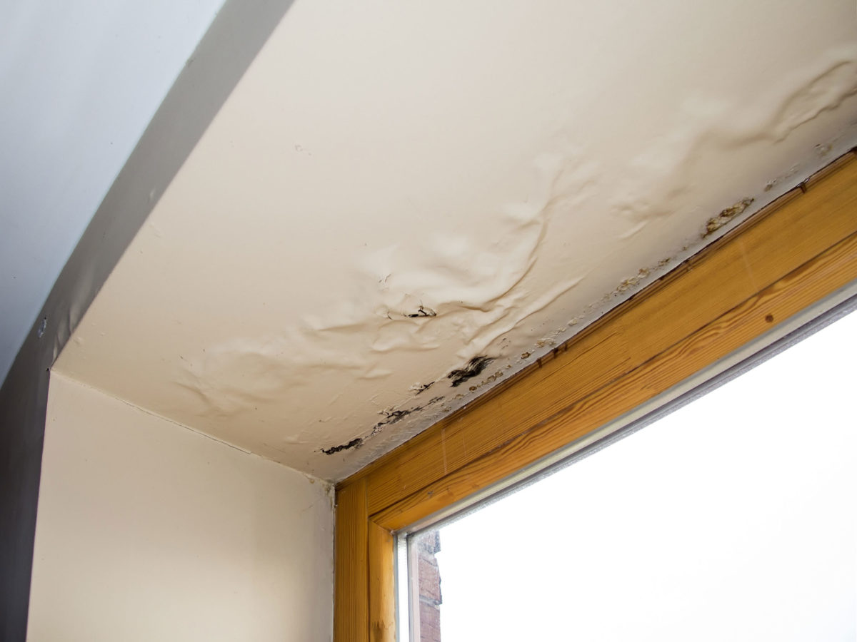 Humidity Damage Roof Repair — commercial roofing in Indianapolis, IN